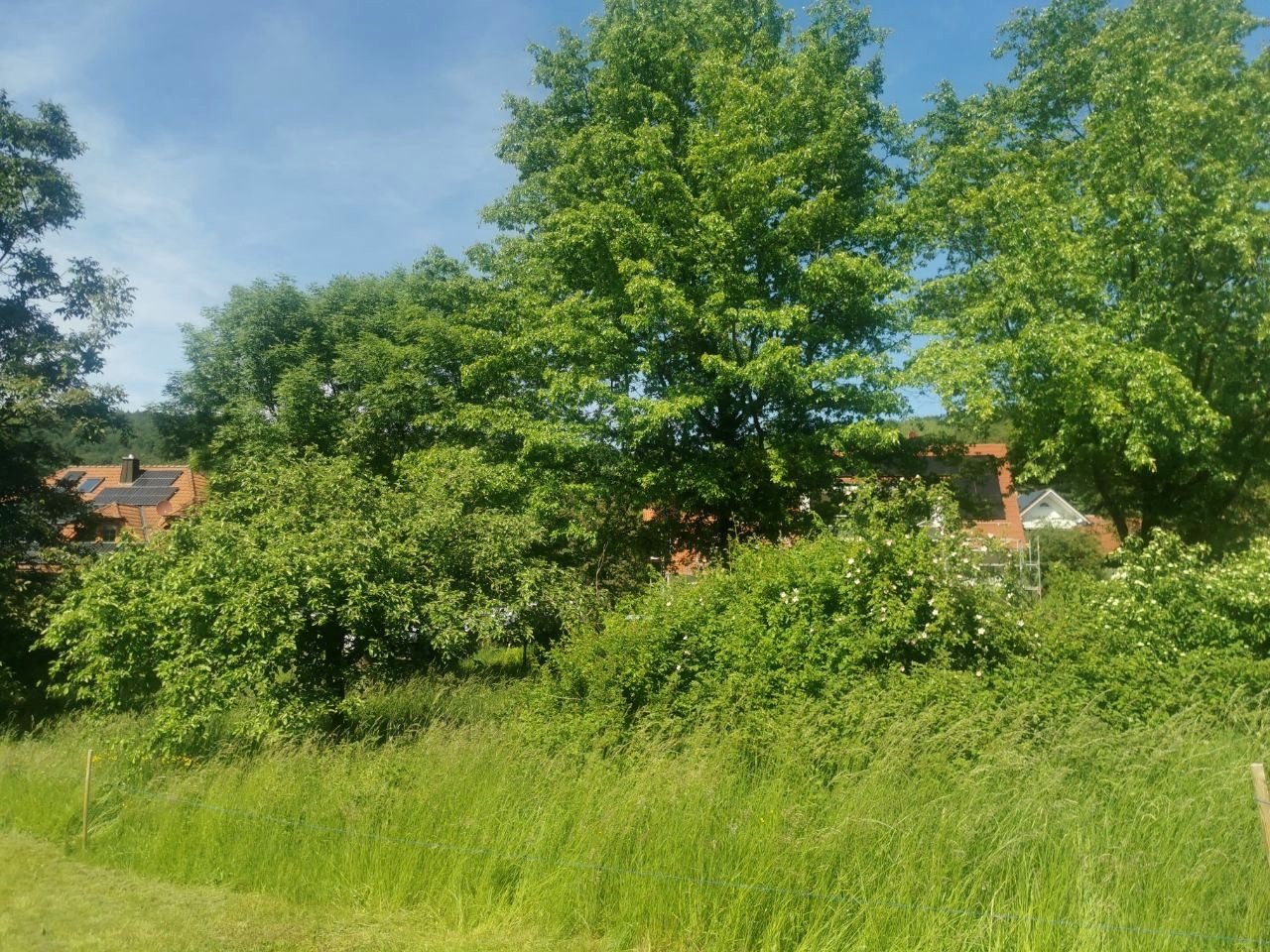 Grundstück in ruhiger Lage Grundstück in ruhiger Lage